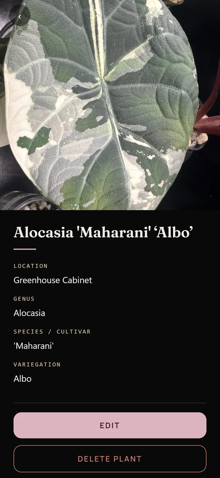 One plant's page: a large leaf photograph above its name, the recorded details underneath and the action buttons at the bottom.